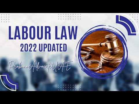 The New Labour Law for 2022