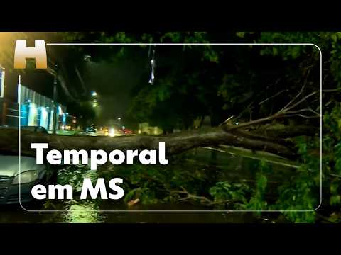 JH: Cities in Mato Grosso do Sul under storm alert