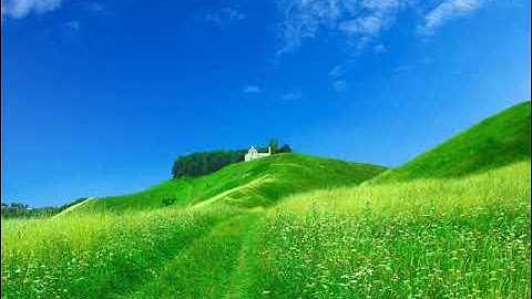 مصحف القارئ   أيمن احمد الديب   سورة   AnNaml النمل