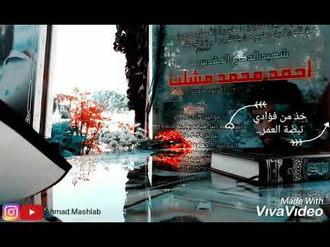 ضريح الشهيد أحمد محمد مشلب حسين جعفر أنا كيف أكون