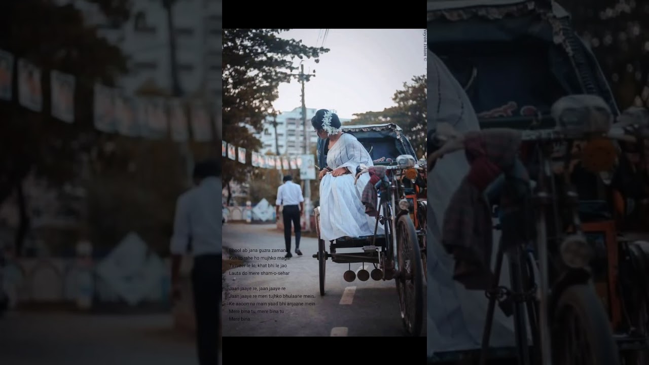 mera bina Tu | status video