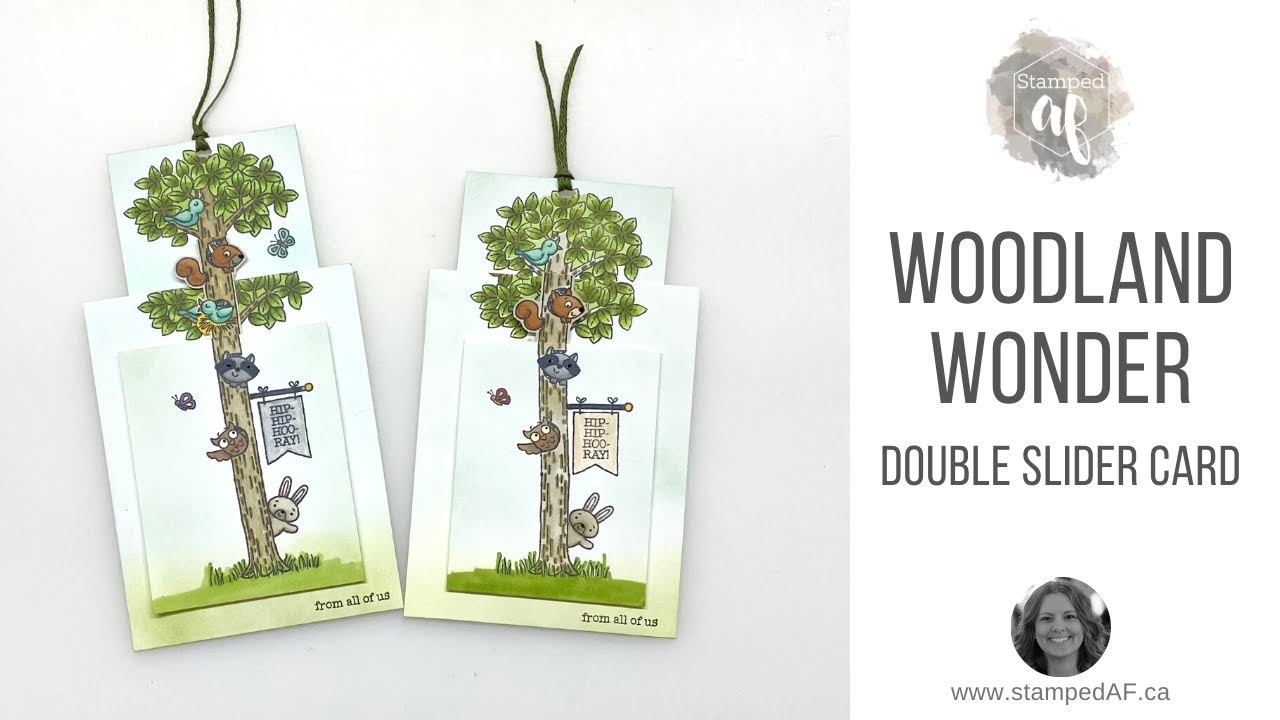 Woodland Wonder Double Slider Card 🐰 🐿 🐦 🦉 🦋 🦝 - YouTube