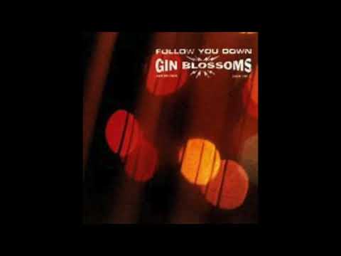 Follow You Down (stripped mix): Gin Blossoms