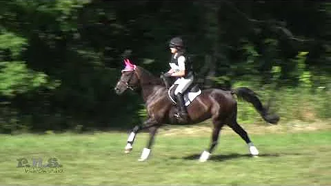 Ayden Schain & Pyxylated Magic GMHA Festival of Eventing August 2018