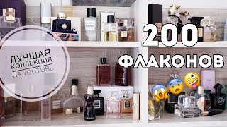 МОЯ КОЛЛЕКЦИЯ ПАРФЮМЕРИИ / 2020