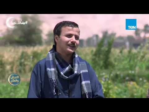 العيش والملح أصحاب من ابتدائي مهما حصل متجمعين ومحتفظين بهدايا بعض أهمها المصحف