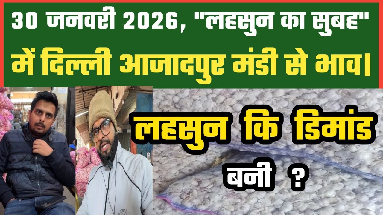 लहसुन में ग्राहकी अच्छी Azadpur Delhi Mandi Today 30-01-2026 को बने ऐसे Garlic Price DMT TV 