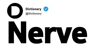 Nerve Synonyms Similar Words