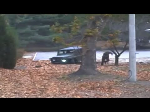 Dramatic footage of N. Korea defector's border dash