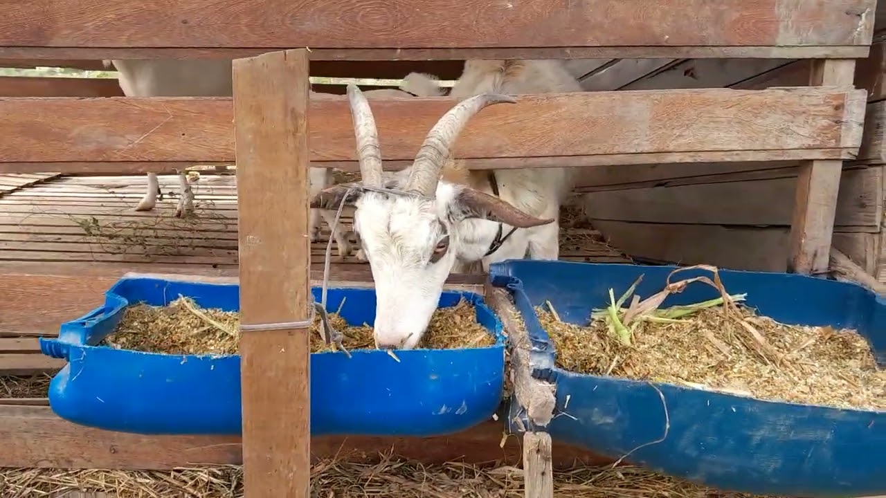 12 de agosto de 2025