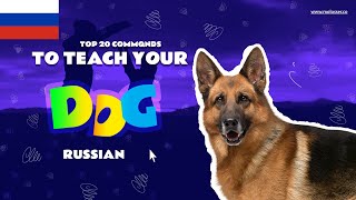 Teach Your Dog Commands In Russian (20 Common Words)