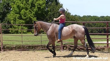 J Orphanita Taw - riding bareback with novice! - ValleyViewRanch.net