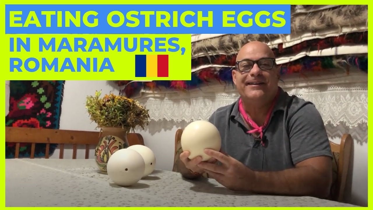 Eating Ostrich Eggs in Romania | Things to Do in Maramures, Romania ๐ท๐ด Eating Ostrich Eggs in Romania | Things to Do in Maramures, Romania ๐ท๐ด