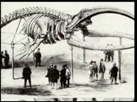 The Disasters Darwinism Brought to Humanity (Part ...