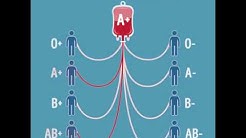 Which blood group can be donated to whom