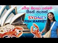 ලොව විශාලතම Fish Market එකේ රවුමක් 🐟Sydney Fish Market 🇦🇺| The World’s Biggest Seafood Markets 