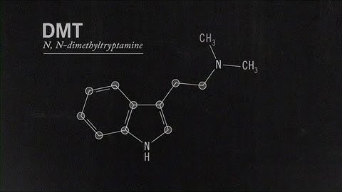 What Is DMT? Joe Rogan