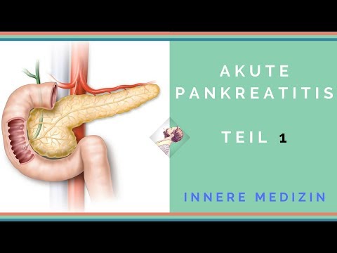 Innere Medizin: Akute Pankreatitis - Teil 1