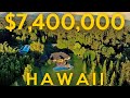 Hawaii off grid living with 40 acres of privacy