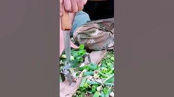 The process of cutting scallions = good tools can improve efficiency.