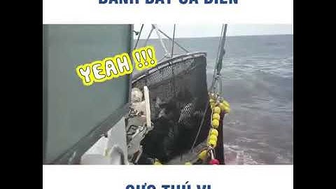 Đánh bắt cá trên biển Dung quất quảng ngãi Đk kênh để xem những clip thú vị hơn nhé