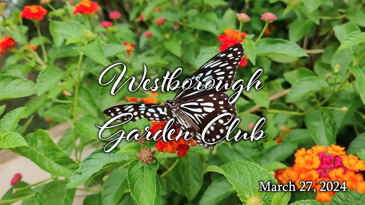 Gardening is Murder - Neal Sanders | Westborough Garden Club | March 28 ...
