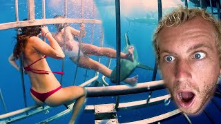 Reviewing My Most Insane Shark Encounters