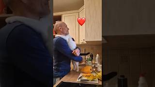 CAT HUGS HIS FUR-PARENT ❤️🐱 #goodhumor #catsofyoutube #loveoneonother #goodpets #toofunny