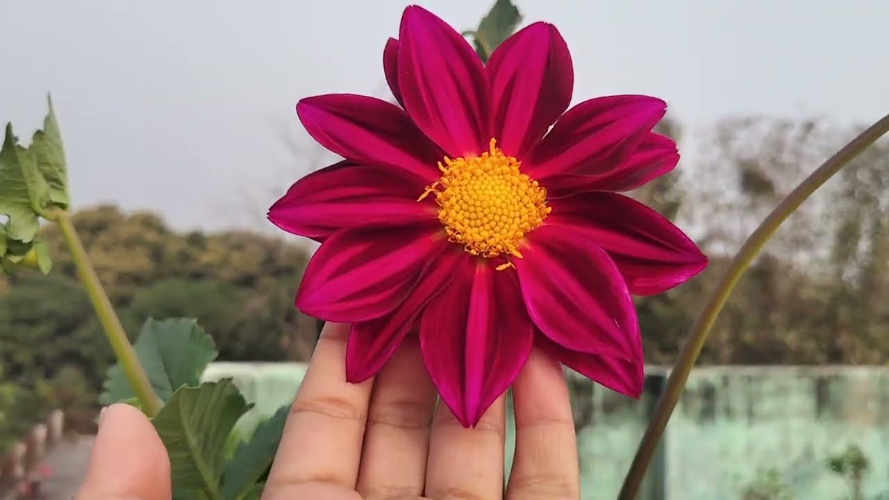 Aap sabhi ko doston antrashtriy mahila Divas ki hardik shubhkamnaen 🙏#newvlog #sundayenjoy