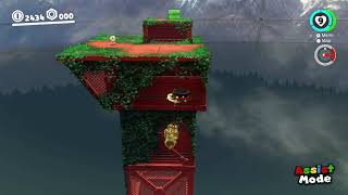Tough jump in wooded kingdom: Super Mario Odyssey