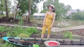 MỘT NGÀY ĐI CẮM CÂU CÁ LÓC SAU DÍNH CÁ TRÊ NGON QUÁ