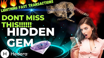 Hedera Hashgraph Crypto News!! $7,000 In Transactions Per Day!!!! Crypto Banter Talks;-)