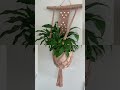 #macrame #macramedecor #handmade #homedecor #macrameideas #macrameinspiration #macramehanging