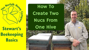 How to Split a Beehive into 2 Nucs and Parent Colony #Beekeeping Basics  - The Norfolk Honey Co