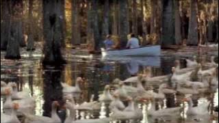 Beto Guedes - Amor De Índio