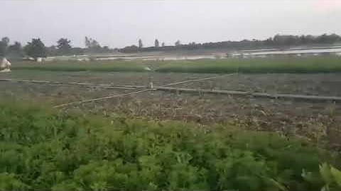 Béc tưới cánh đập 2 tia kiểu Thái Lan ren ngoài 21- 27mm, phản hồi từ khách hàng đã tin dùng.