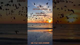 Gerçek Sevgi Gönüllülük İster.