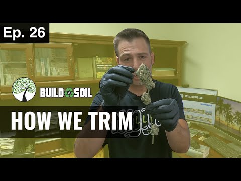 BuildASoil: HOW WE PROCESS AND TRIM (Season 3, Episode 26)