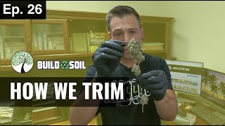 BuildASoil: HOW WE PROCESS AND TRIM (Season 3, Episode 26)