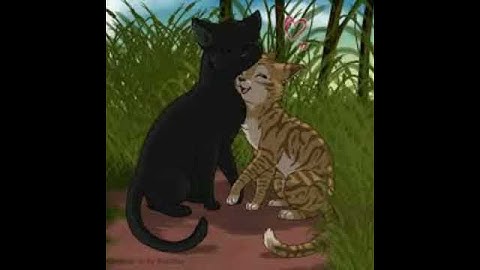 Crowfeather x leafpool