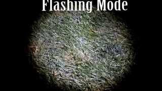 Wolverine LED Headlamp Review screenshot 3