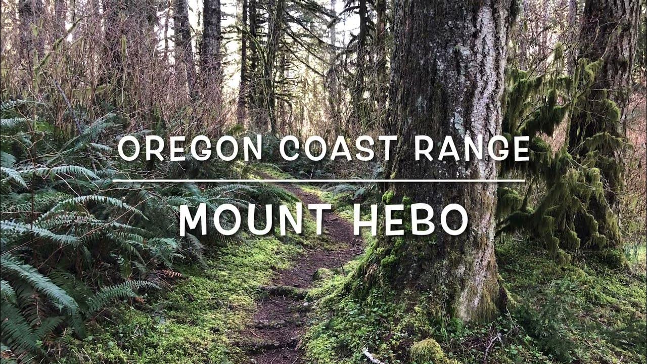 Hiking on Mount Hebo Siuslaw National Forest, Oregon Coast Range YouTube