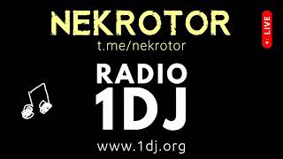 Радио 1 Диджей - NEKROTOR - Electro House DJ mix 2024
