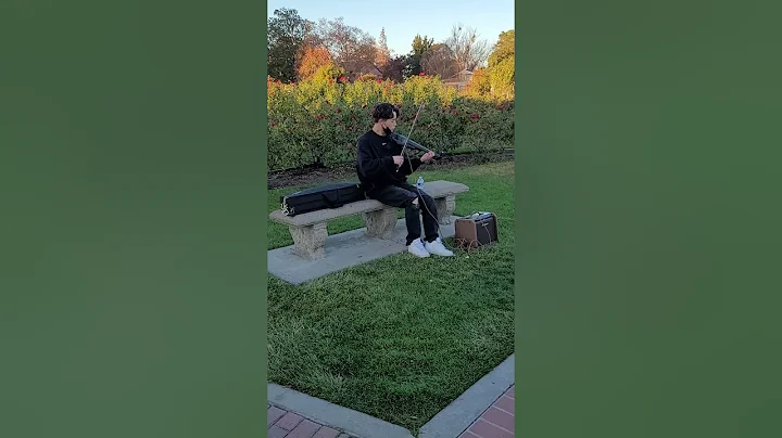 Young Man Playing Violin in the Municipal Rose Gar...