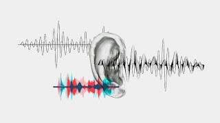 The 4 Ways Sound Affect Us