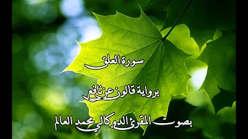 سورة العلق بصوت المقرئ الدوكالي محمد العالم