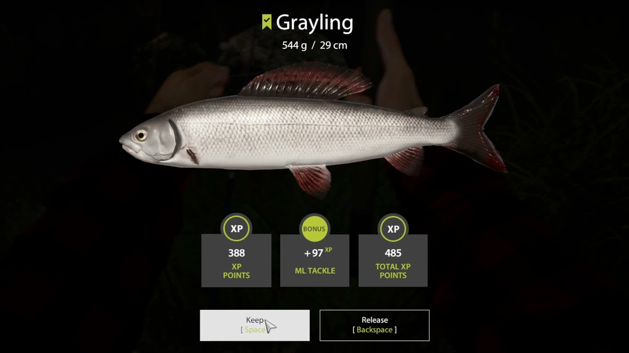 Grayling and Chub Belaya Russian Fishing 4 telescopic fishing