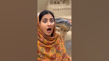 🐍 Dog vs Giant Python 🐕 | You Won’t Believe What Happened Next! #aivideo  #shorts #village