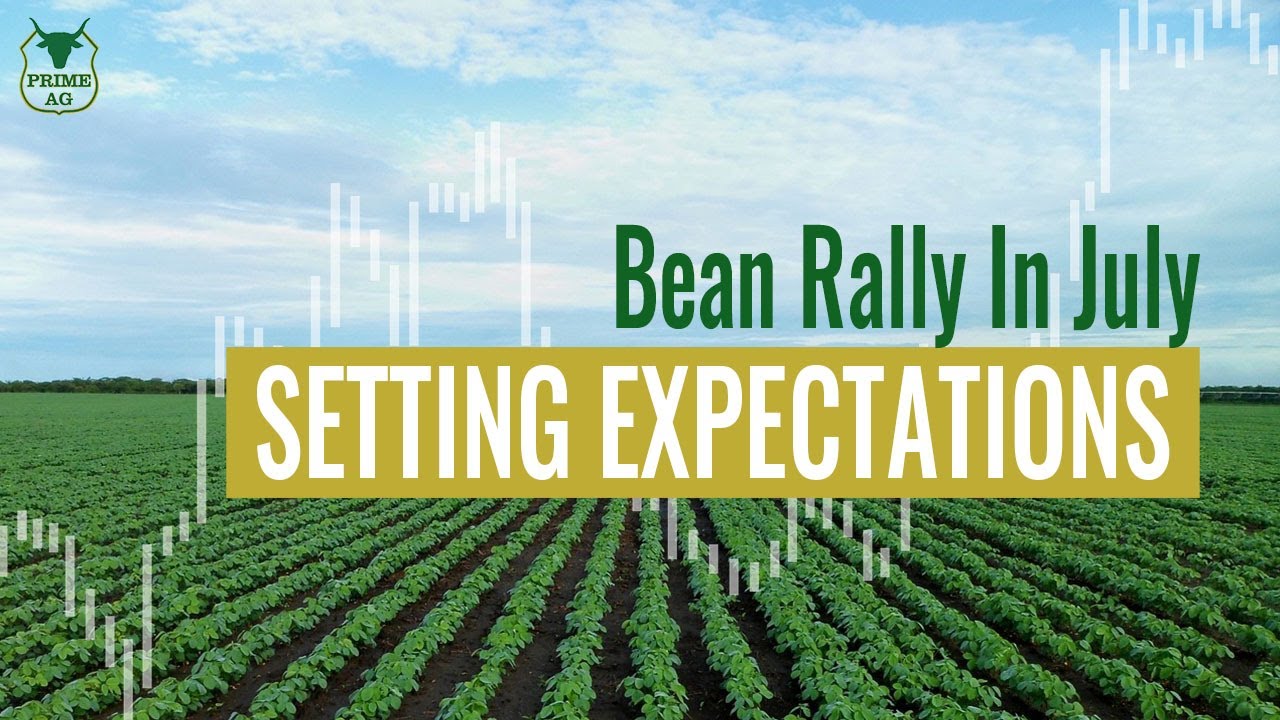 Soybean Summer Rally Expectations from the last 14 years YouTube
