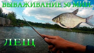 Большой лещ на ультралайт.50мин. вываживание Большой лещ на ультралайт.50мин. вываживание